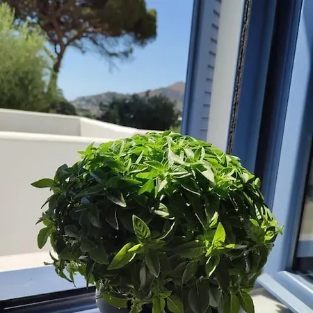 Vila Το Σπιτάκι To Spitaki Τhe Little House Panormos  Exteriér fotografie