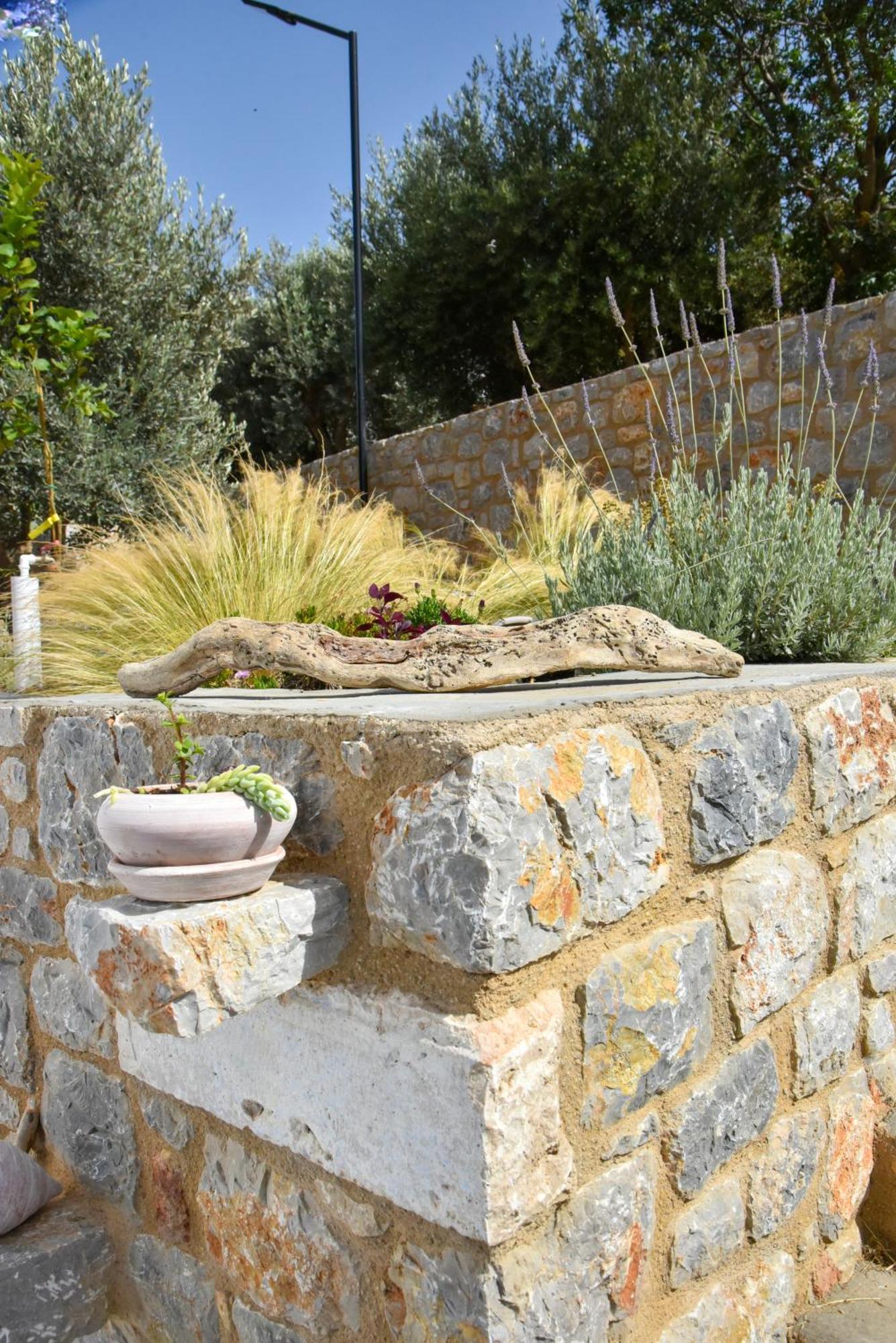 το σπιτάκι To Spitaki τhe Little House